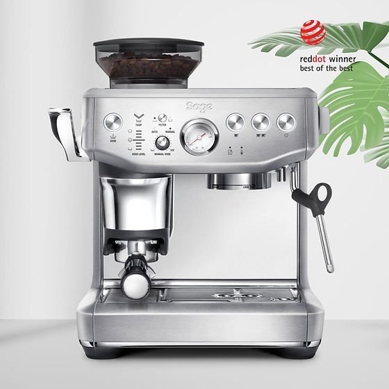 Machine à expresso Barista Express Sauge